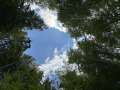IMG_3096.jpeg